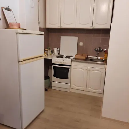 Flat In Center, 45m2 公寓 贝尔格莱德